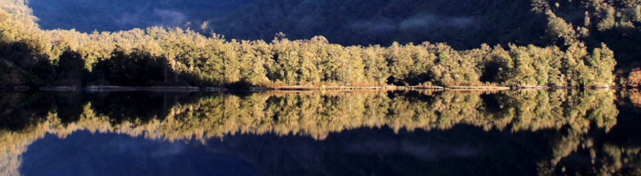 Blick auf die Wasseroberfläche des Fjords das die Bäume im Hintergrund reflektiert